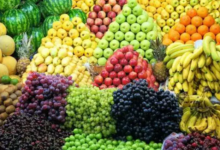 1766449982 أسعار الفاكهة اليوم 1739534286 0