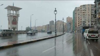 1766460243 حالة الطقس اليوم الخميس في مصر 1766039511 0