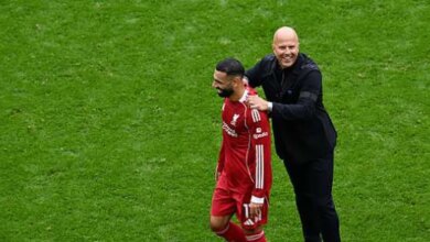 20177542461764668229