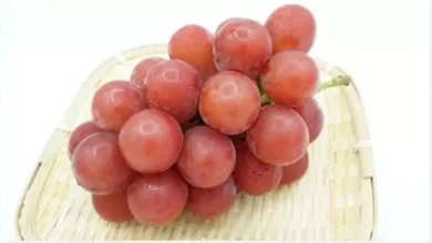 2024 12 23 10 25 49 677.webp