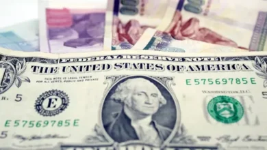 2025 11 26 15 46 51 681.webp