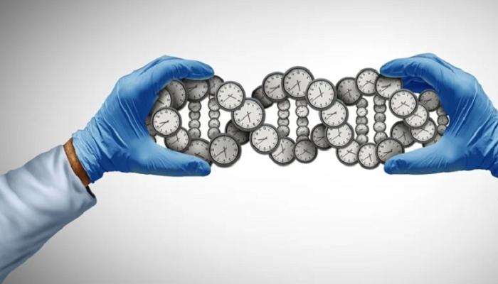 214 155448 biological clock urine measure body true