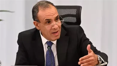 وزير الخارجية يؤكد ثوابت الموقف المصري الداعم لوحدة وسيادة وأمن واستقرار لبنان