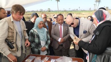 محافظ بنى سويف : توفير التيسيرات لتسهيل عمل البعثة المصرية الروسية بمعبد بطليم