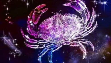 2dc4f2893185bdc05be6a21105cd53cc58b02f65 231225114507