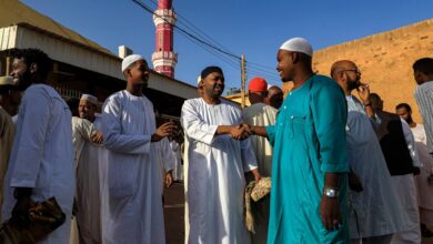 33DL378 highres 1682061429