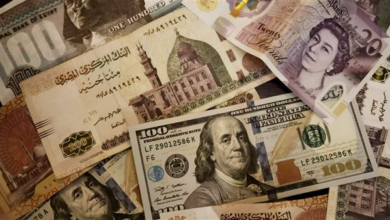 للقضاء على السوق السوداء.. ضبط تجار النقد الأحنبي بعملات قيمتها 8 ملايين جنيه