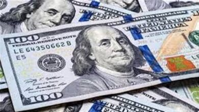 سعر صرف الدولار مقابل الجنيه اليوم الجمعة 12 ديسمبر 2025