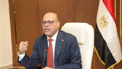 دورة تدريبية مهنية على التفصيل.. أبرز أنشطة مديريات العمل بالمحافظات|تفاصيل