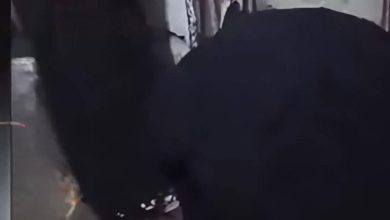 599925308 1334198005387124 843939434777913393 n 1 e1765740873408