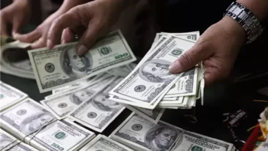 استقرار الدولار في البنوك المصرية اليوم عند 47.5 جنيه