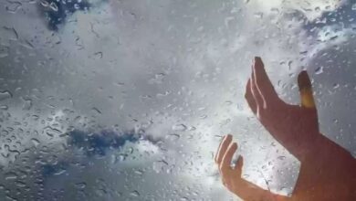 626525040358202512080326132613