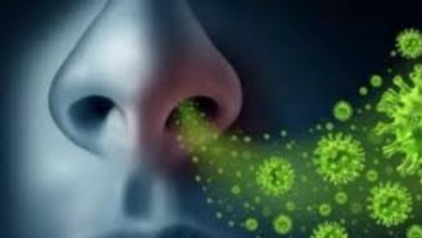 6271977767053202505310139253925