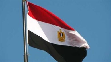 6471779192259202512290126362636