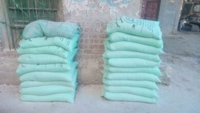 694950750531202512231143294329