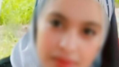 728752937161202512061012541254