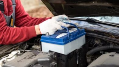 7981977766892202512080929452945