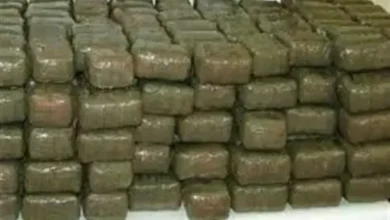 حبس تاجر مخدرات بحوزته 20 فرش حشيش قبل ترويجها بالمنيرة الغربية