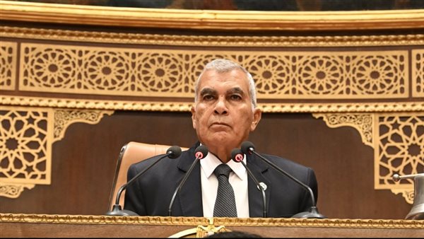 عاجل.. مجلس الشيوخ يقر عقوبات رادعة للموظفين المخالفين في قطاع الكهرباء