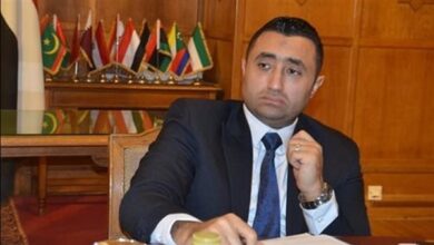 الحركة الوطنية: رفع توقعات «فيتش» لنمو الاقتصاد المصري رسالة ثقة دولية للقاهرة