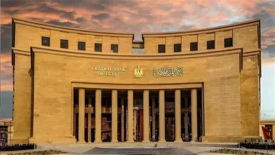 زيادة كبيرة في تحويلات المصريين العاملين بالخارج خلال الشهور العشر الأولى 2025