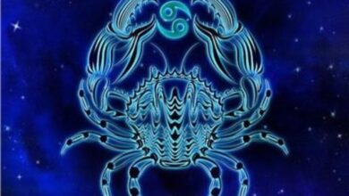 98f94062932a742ccd04b9dcd7eab2f3bb17a5a7 081225113806