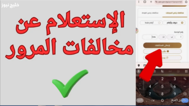 Capture 12