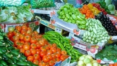 D8A7D984D8B7D985D8A7D8B7D985 D8A8D980 10 D8ACD986D98AD987D8A7D8AA c1fc