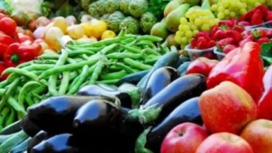 D8A7D984D8B7D985D8A7D8B7D985 D8A8D980 8 D8ACD986D98AD987D8A7D8AA 91d7c