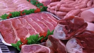 D8B2D98AD8A7D8AFD8A9 D8ACD8AFD98AD8AFD8A9 437fd12a 1200.webp