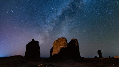 IMG 20251223 WA0012 0