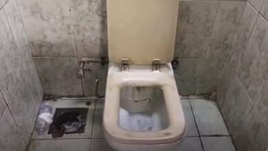 Screenshot 2025 12 30 110623