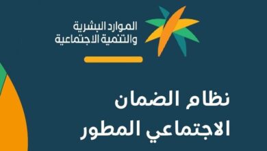 Y3qrp 1 e1765544563859