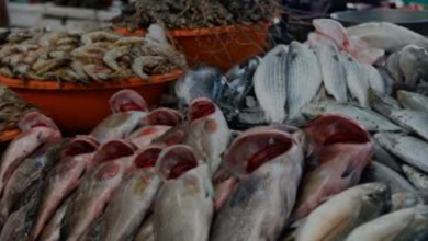 download 2025 12 18T181417.366