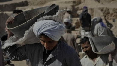 download 2025 12 23T200035.869