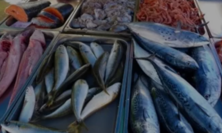 download 2025 12 24T180441.448