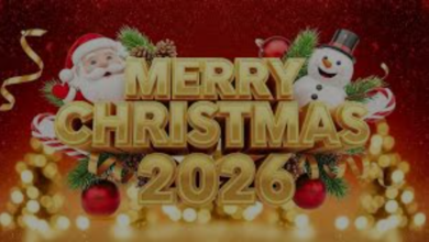 download 2025 12 24T211203.933