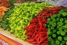 أسعار الخضار والفاكهة في المنوفية تتراجع اليوم الثلاثاء 16 12 2025 مع