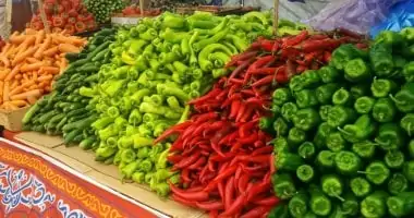 أسعار الخضار والفاكهة في المنوفية تتراجع اليوم الثلاثاء 16 12 2025 مع