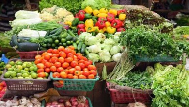 أسعار الخضروات اليوم 1700563159 0