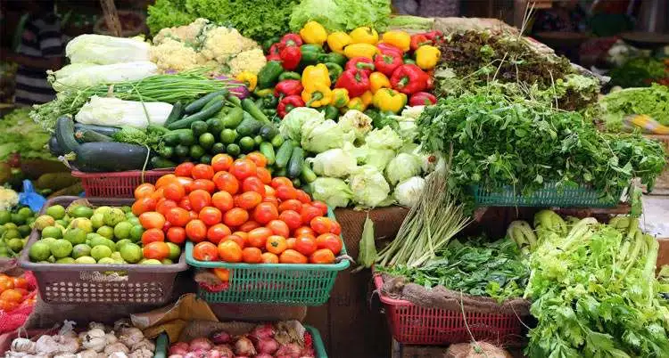 أسعار الخضروات اليوم 1700563159 0