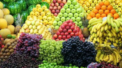 أسعار الفاكهة اليوم 1739534286 0