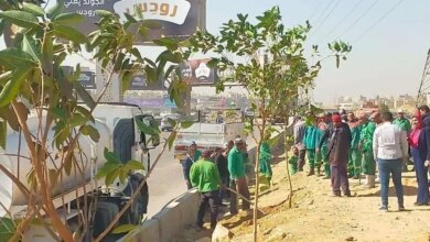 أعمال المرحلة الأولى لتشجير الطريق الدائري 1736860831 0