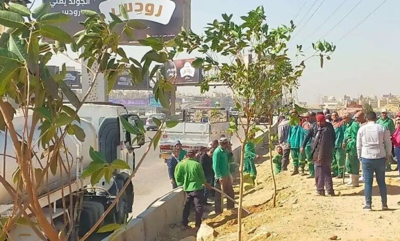أعمال المرحلة الأولى لتشجير الطريق الدائري 1736860831 0