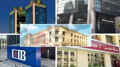 البنوك المصرية 1728810279 0