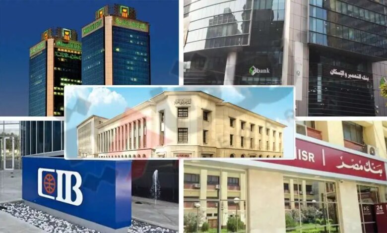 البنوك المصرية 1728810279 0