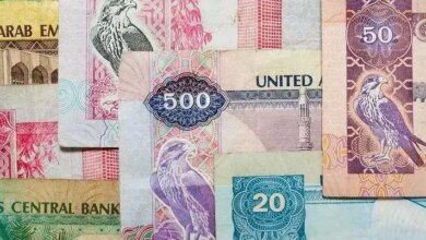 الدرهم الإماراتي 1753120475 0