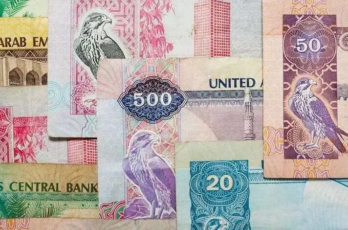 الدرهم الإماراتي 1753120475 0