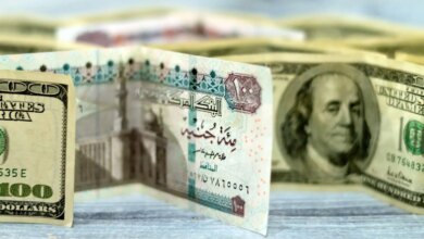 الدولار والجنيه 1707339832 0