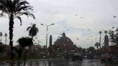 حالة الطقس اليوم 1764071071 0